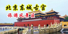 嗯啊大鸡巴射骚逼视频中国北京-东城古宫旅游风景区